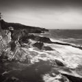 Shore Acres State Park Mural Wallpaper - pure wallpaper artwork