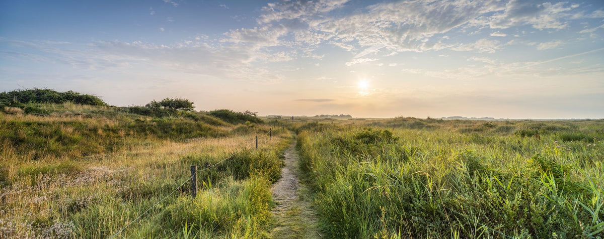 Sunrise Walk Mural Wallpaper - pure wallpaper artwork
