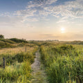 Sunrise Walk Mural Wallpaper - pure wallpaper artwork