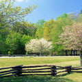 Davidson River Campground Mural Wallpaper - pure wallpaper artwork
