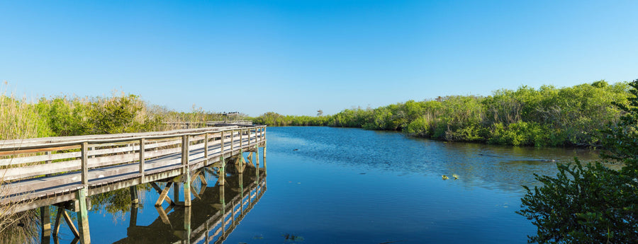 Anhinga Trail Mural Wallpaper