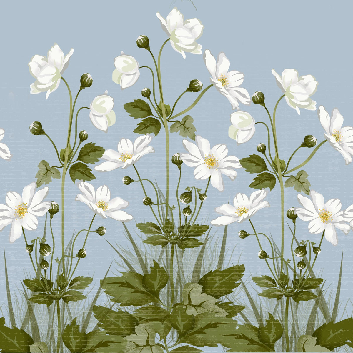 White Anemones, Sky Blue Mural Wallpaper - pure wallpaper artwork