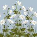 White Anemones, Sky Blue Mural Wallpaper - pure wallpaper artwork