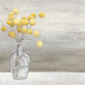 Cheerful Craspedia Mural Wallpaper - pure wallpaper artwork