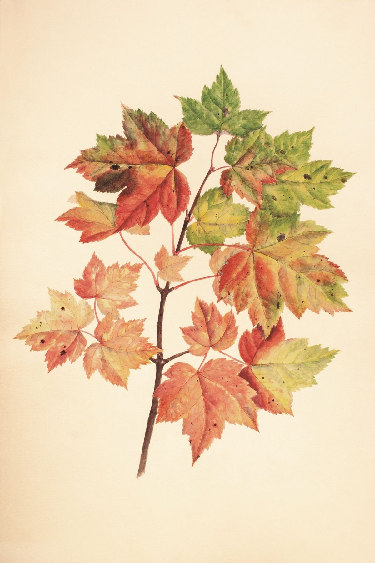 Fall Leaves II Muted Mural Wallpaper - pure wallpaper artwork