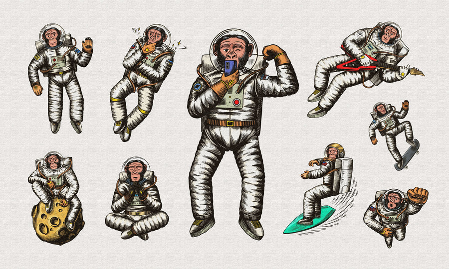 Space Monkey Mural Wallpaper