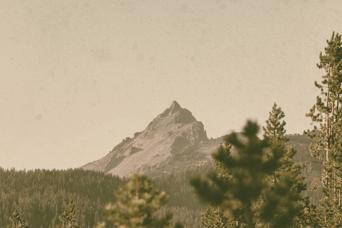 Mountainous II Mural Wallpaper - pure wallpaper artwork