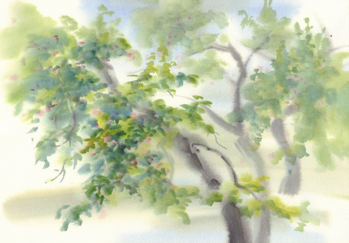 Blossom Whisper Mural Wallpaper - pure wallpaper artwork