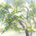 Blossom Whisper Mural Wallpaper - pure wallpaper artwork