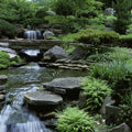Tranquil Garden Cascade Mural Wallpaper - pure wallpaper artwork