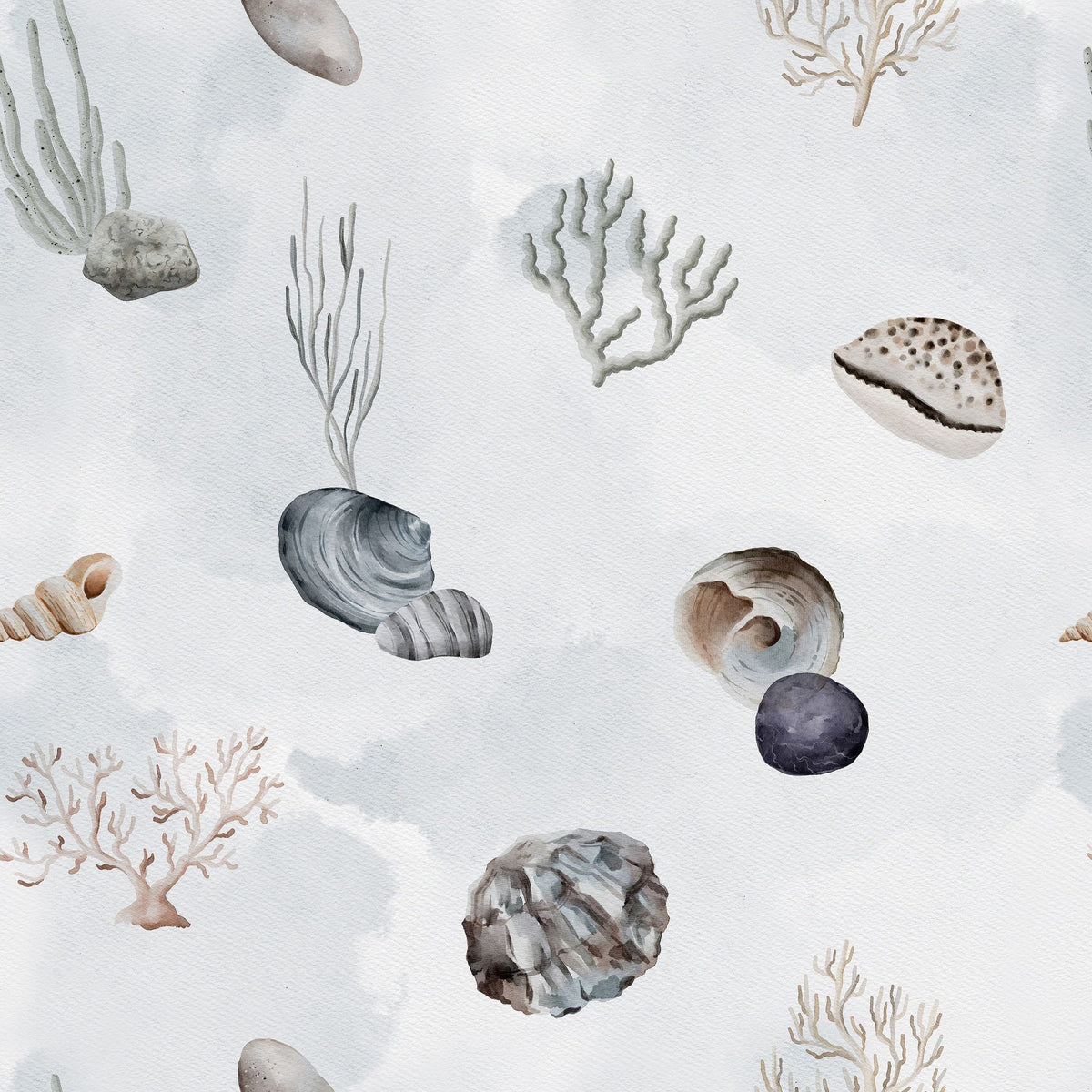 Sea Shells Mural Wallpaper - pure wallpaper artwork