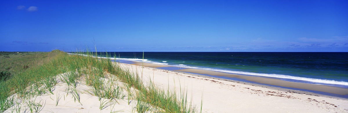 Coastal Dune Serenity Mural Wallpaper - pure wallpaper artwork
