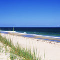 Coastal Dune Serenity Mural Wallpaper - pure wallpaper artwork