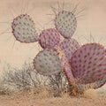 Border Sunset I Mural Wallpaper - pure wallpaper artwork