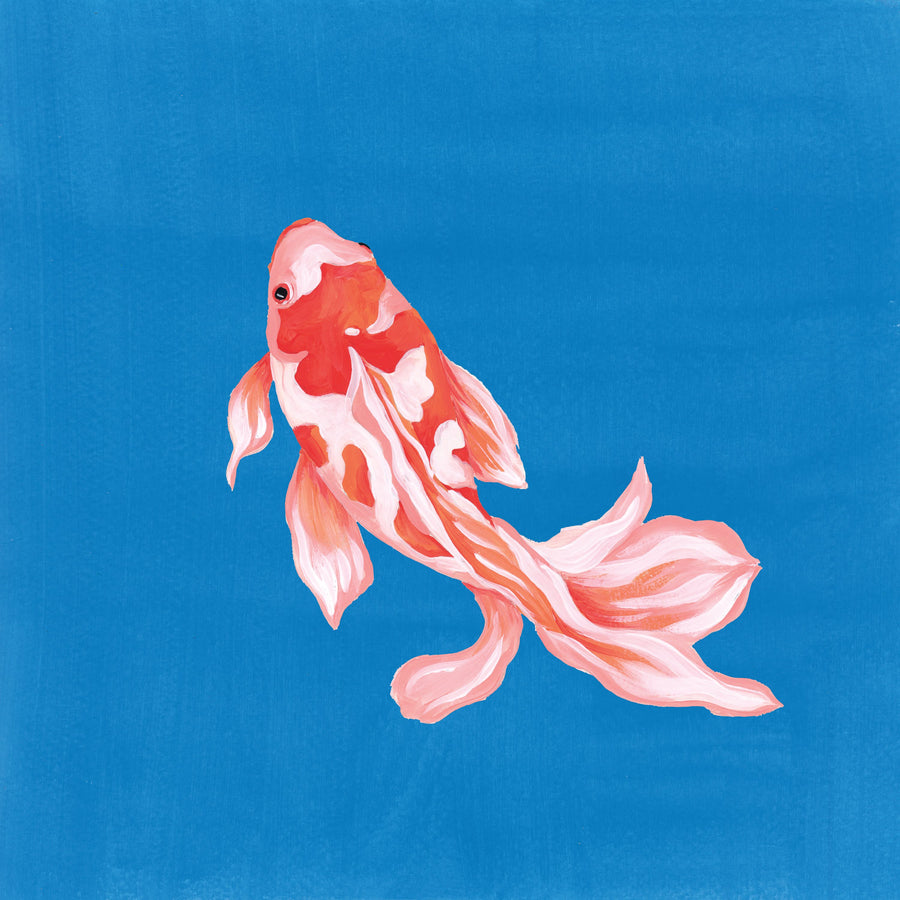 Colorful Koi II Mural Wallpaper