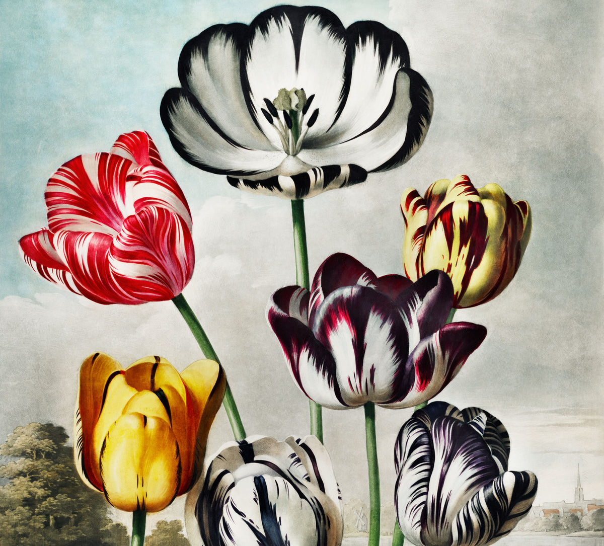Temple of Flora Tulips Mural Wallpaper - pure wallpaper artwork