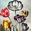 Temple of Flora Tulips Mural Wallpaper - pure wallpaper artwork