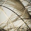 Beach Grass II Mural Wallpaper - pure wallpaper artwork
