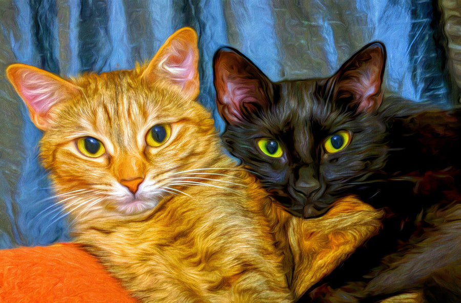 Best Friends Kittens Mural Wallpaper