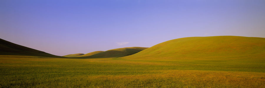 Rolling Meadows Mural Wallpaper
