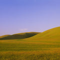 Rolling Meadows Mural Wallpaper - pure wallpaper artwork
