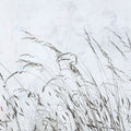 Meadow Grass I Mural Wallpaper - pure wallpaper artwork