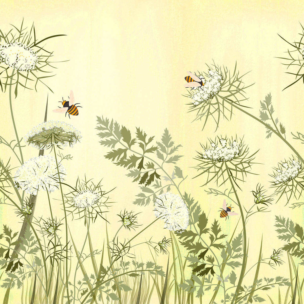 Queen Annes, Lemon Mural Wallpaper - pure wallpaper artwork