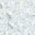 Hydrangea Whites Mural Wallpaper - pure wallpaper artwork