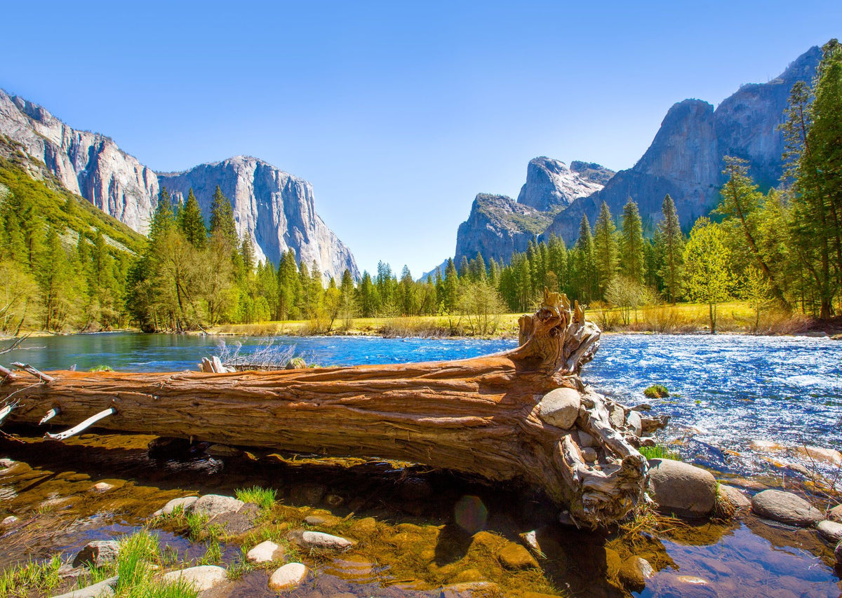 Merced River Log Mural Wallpaper - pure wallpaper artwork