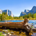 Merced River Log Mural Wallpaper - pure wallpaper artwork