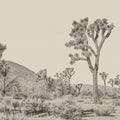 Joshua Tree(s) Mural Wallpaper - pure wallpaper artwork