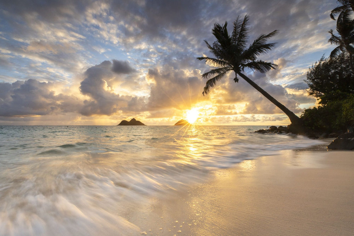 Oahau Beach Mural Wallpaper - pure wallpaper artwork
