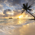 Oahau Beach Mural Wallpaper - pure wallpaper artwork