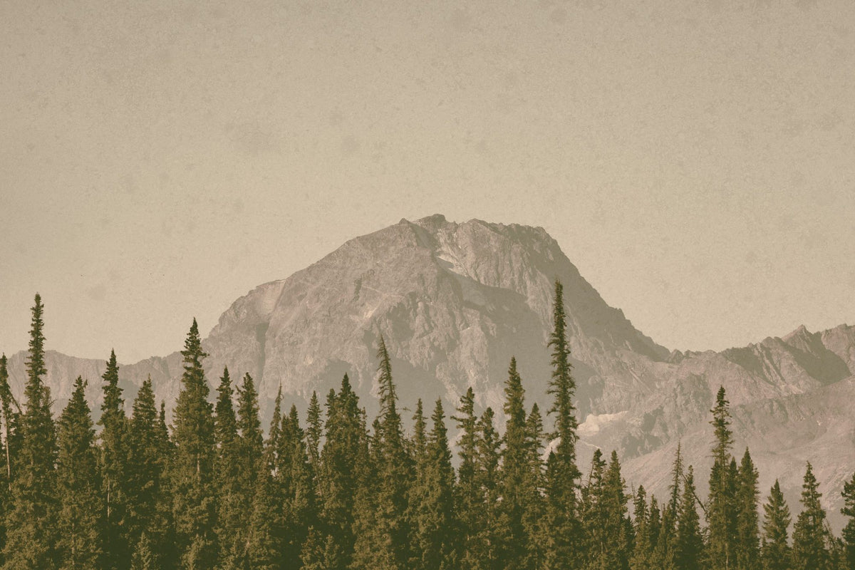 Mountainous IV Mural Wallpaper - pure wallpaper artwork