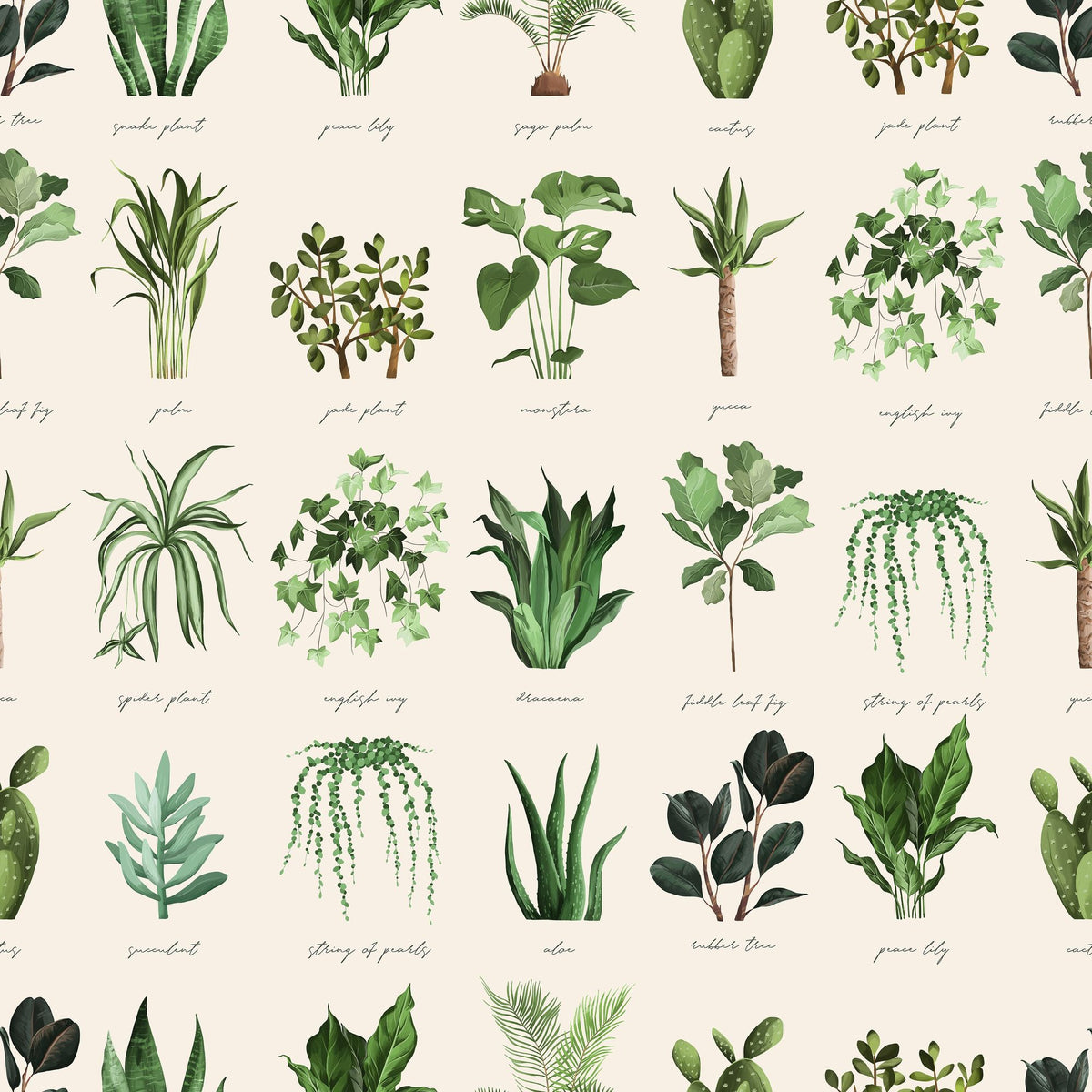 House Plant White Mural Wallpaper - pure wallpaper artwork