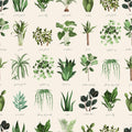 House Plant White Mural Wallpaper - pure wallpaper artwork
