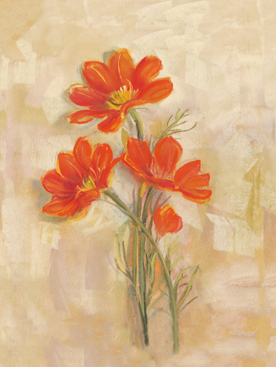 Spicy Orange Cosmos Mural Wallpaper
