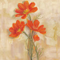Spicy Orange Cosmos Mural Wallpaper - pure wallpaper artwork