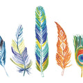 Rainbow Feathers III Mural Wallpaper - pure wallpaper artwork