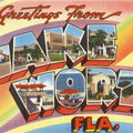 Greetings From Lake Worth Mural Wallpaper - pure wallpaper artwork