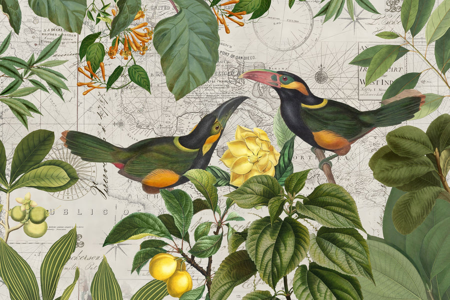 Parrots Nostalgic Journey II Mural Wallpaper