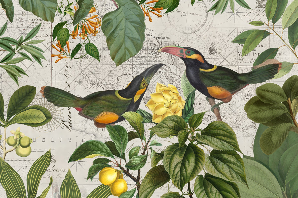 Parrots Nostalgic Journey II Mural Wallpaper - pure wallpaper artwork