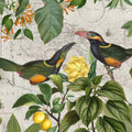 Parrots Nostalgic Journey II Mural Wallpaper - pure wallpaper artwork