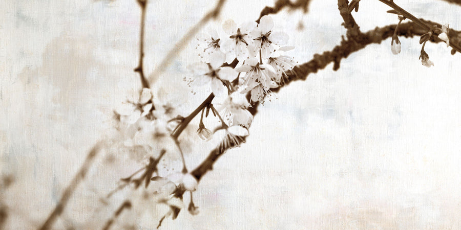 Natural Blossom Mural Wallpaper