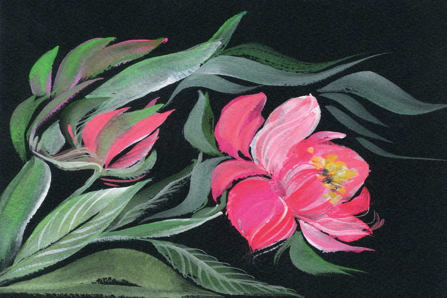 Peony on Black Mural Wallpaper