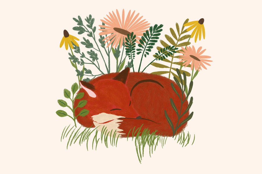 Sleeping Fox Mural Wallpaper