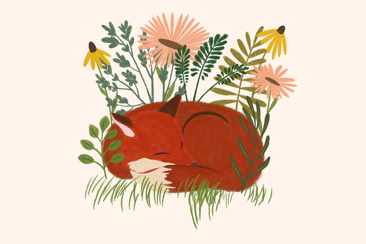 Sleeping Fox Mural Wallpaper - pure wallpaper artwork