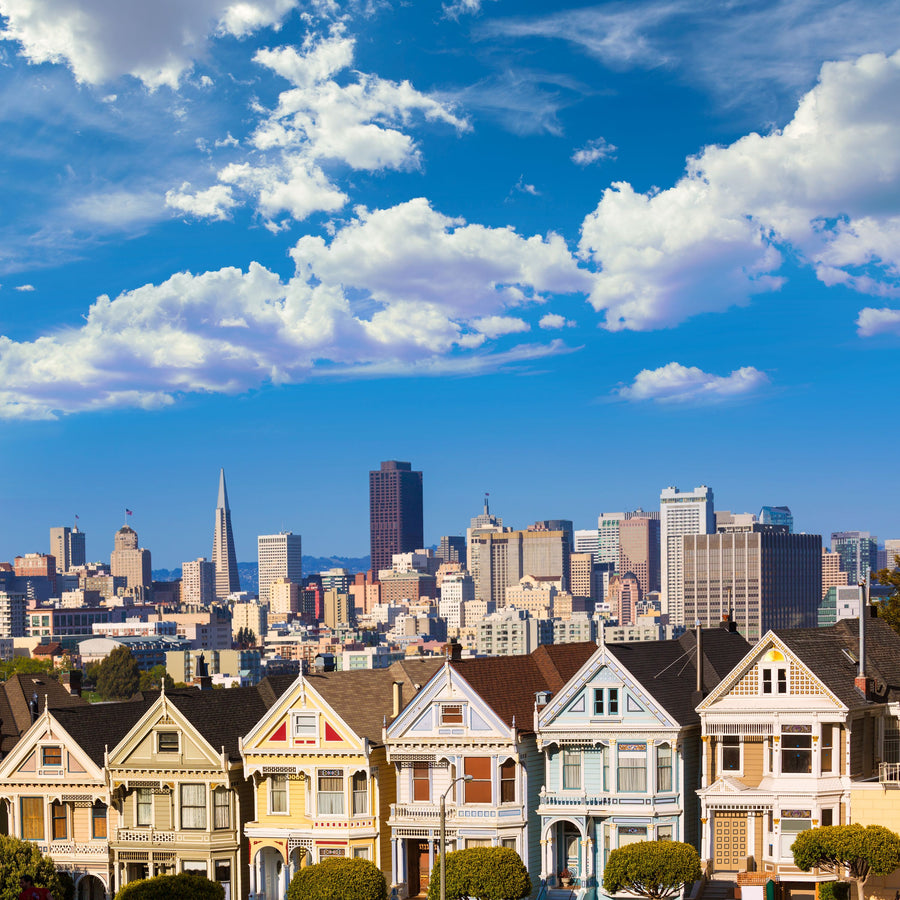 Alamo Square Row Mural Wallpaper