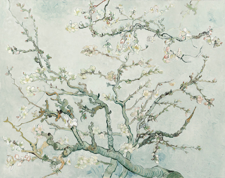 Almond Blossom, Crisp Air Mural Wallpaper
