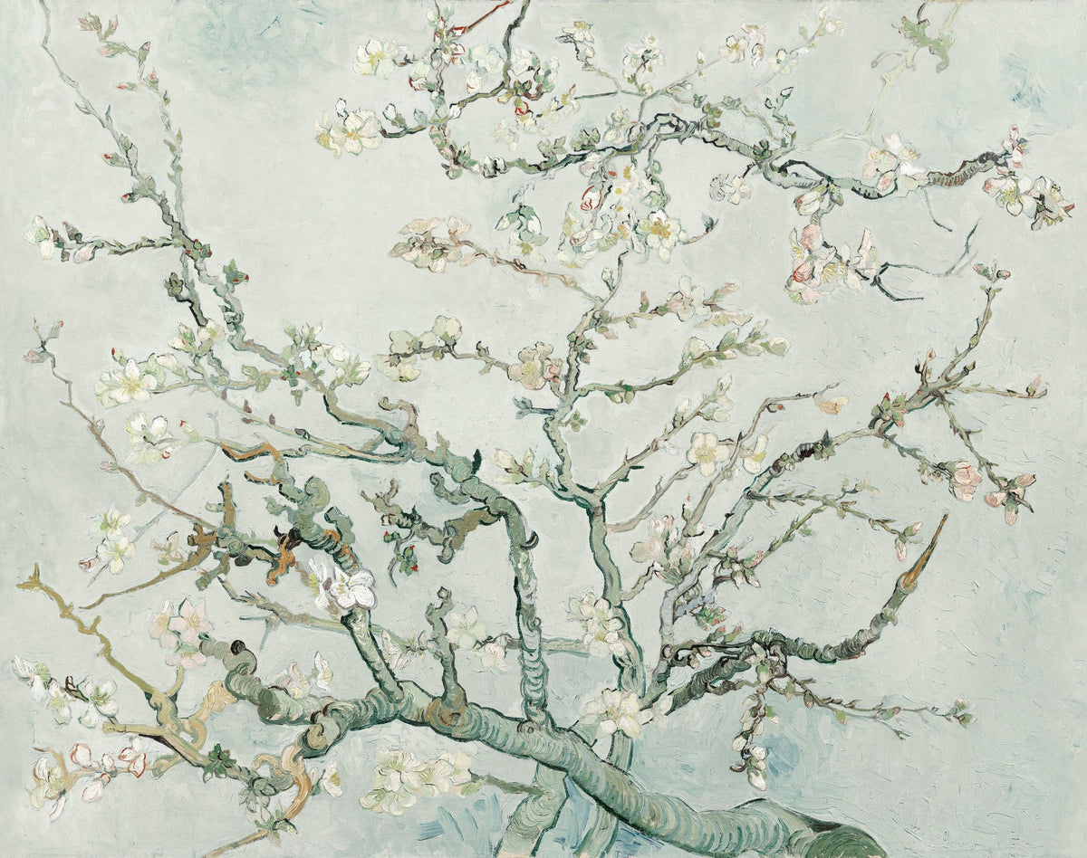 Floral Wallpaper Mural – Flower Wallpaper – Almond Blossom, Crisp Air